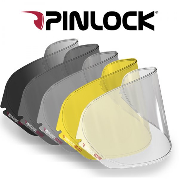 Daisy on the Ohoopee