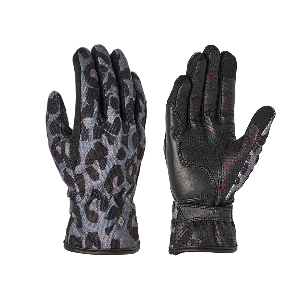 Daisy on the Ohoopee