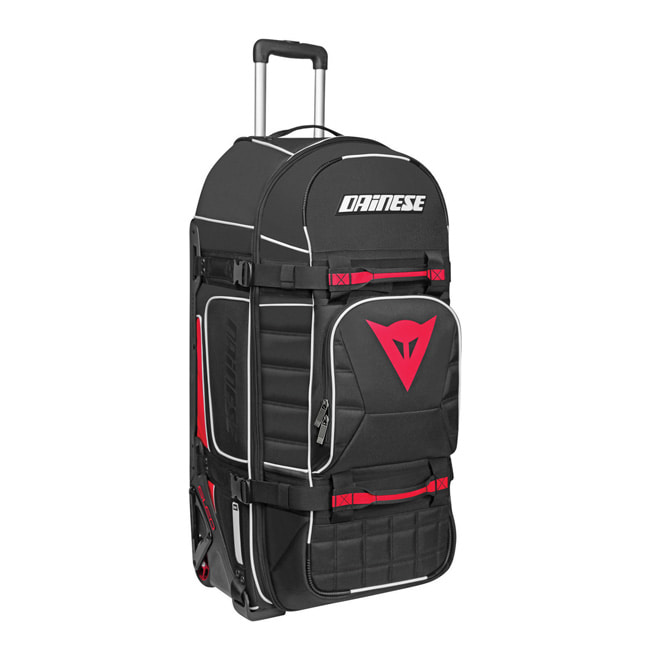 Daisy on the Ohoopee