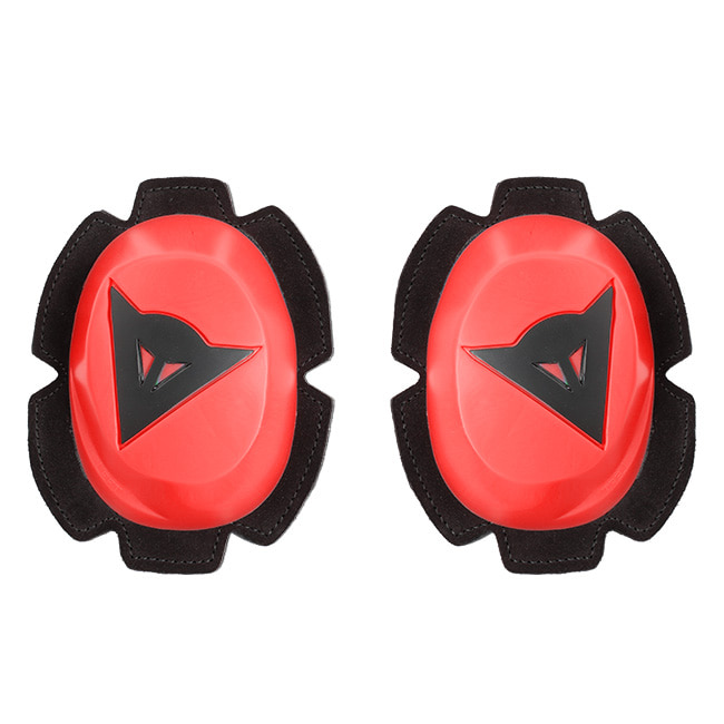 Daisy on the Ohoopee