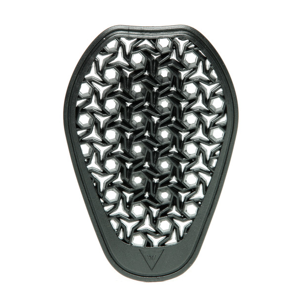 Daisy on the Ohoopee