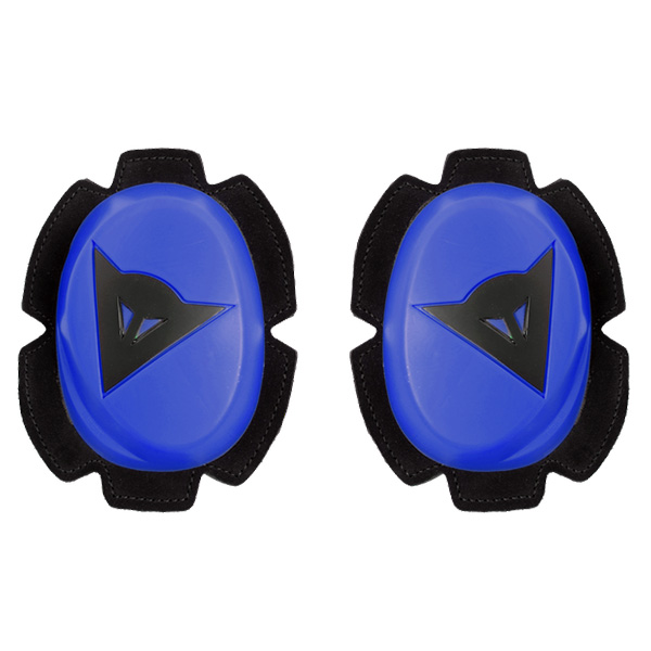 Daisy on the Ohoopee