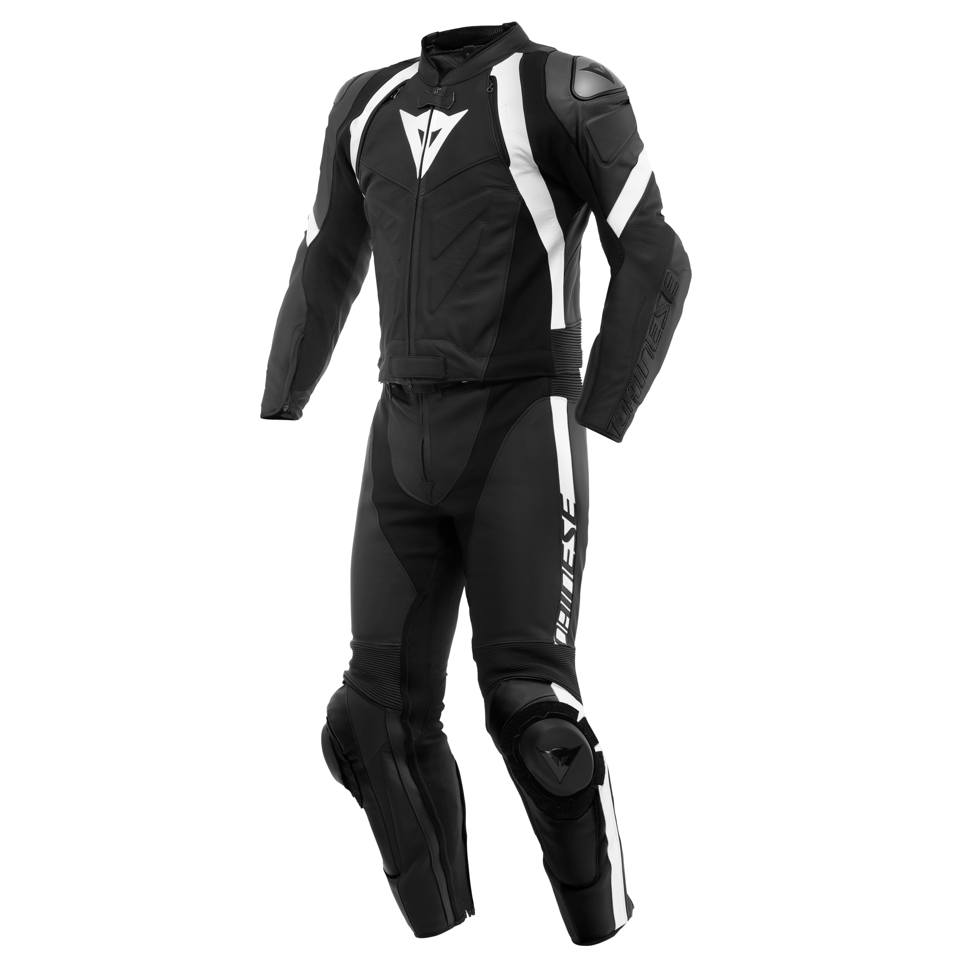 Daisy on the Ohoopee