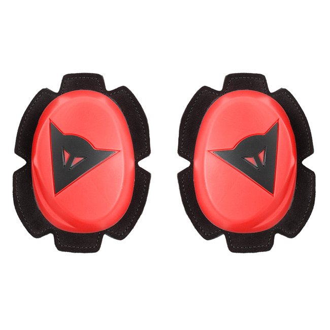 Daisy on the Ohoopee