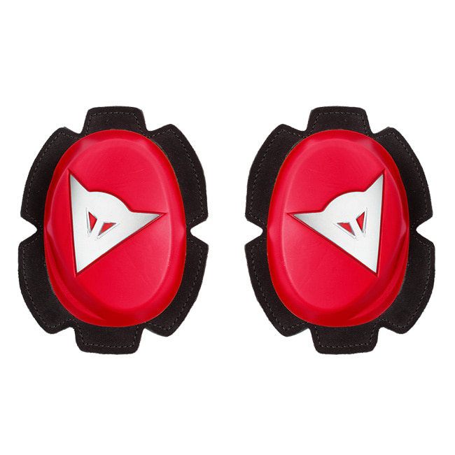 Daisy on the Ohoopee