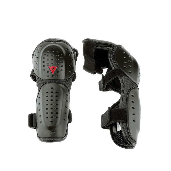 Daisy on the Ohoopee