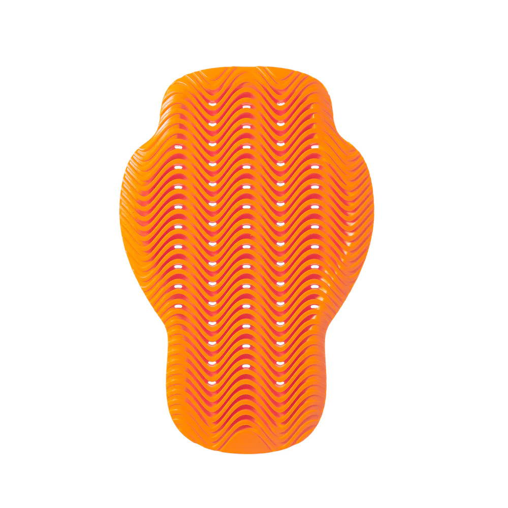 Daisy on the Ohoopee