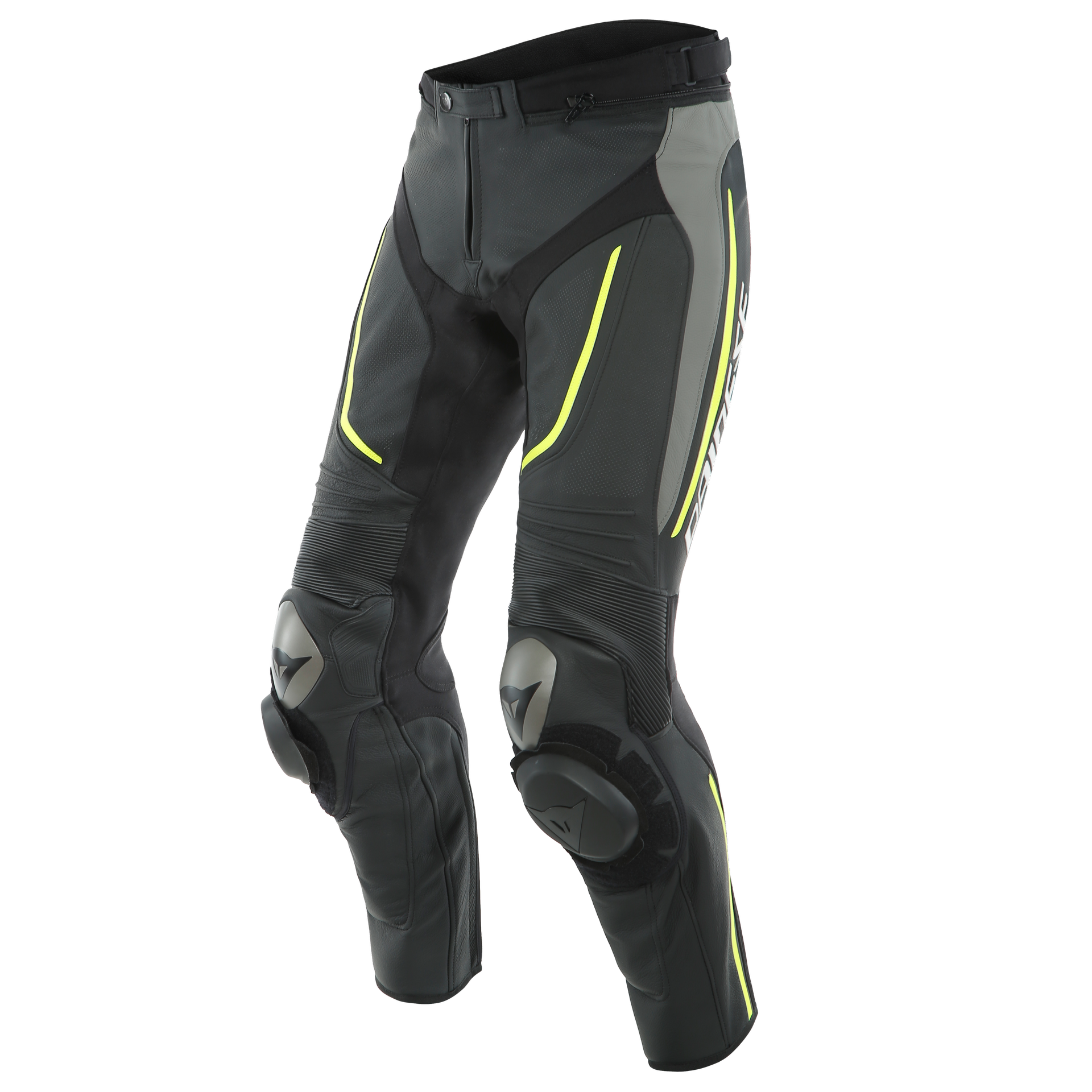 Daisy on the Ohoopee