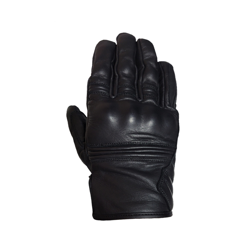 Daisy on the Ohoopee