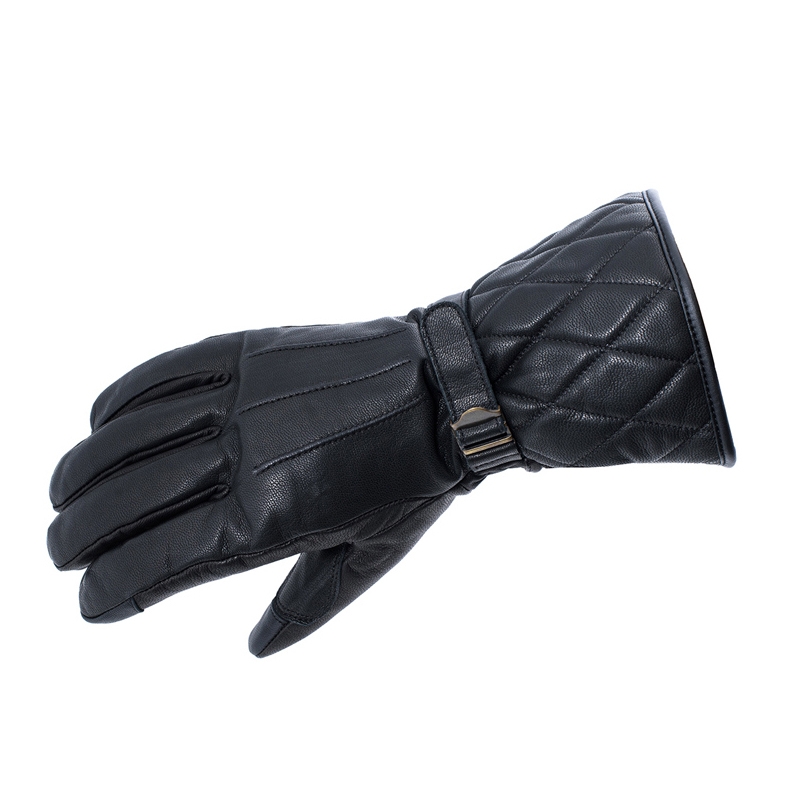 Daisy on the Ohoopee