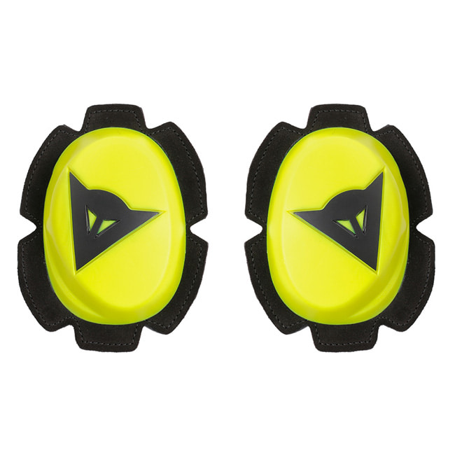 Daisy on the Ohoopee