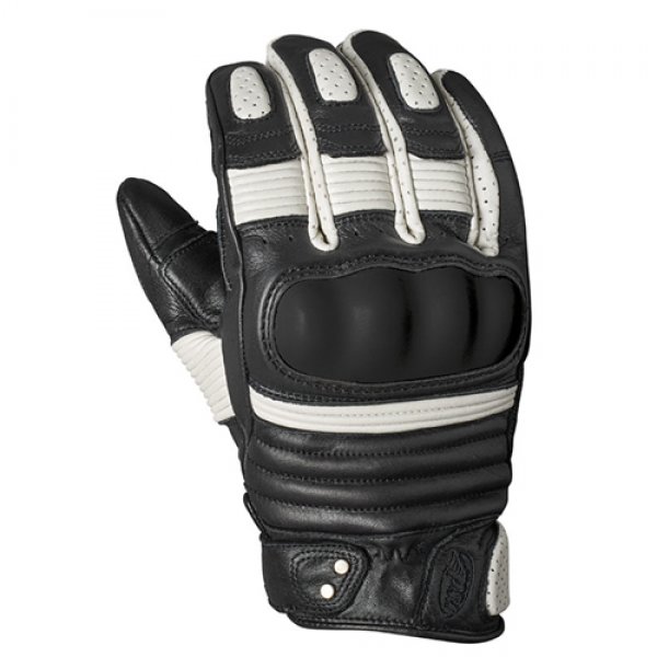 Daisy on the Ohoopee