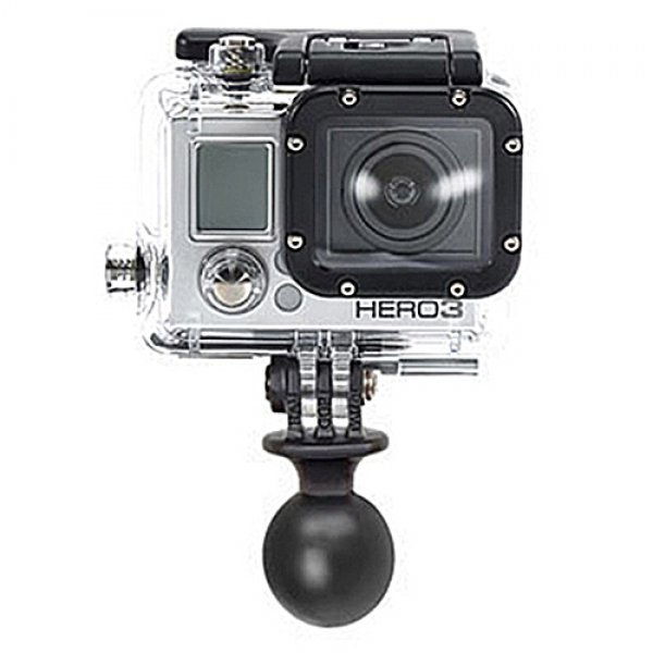 Daisy on the Ohoopee