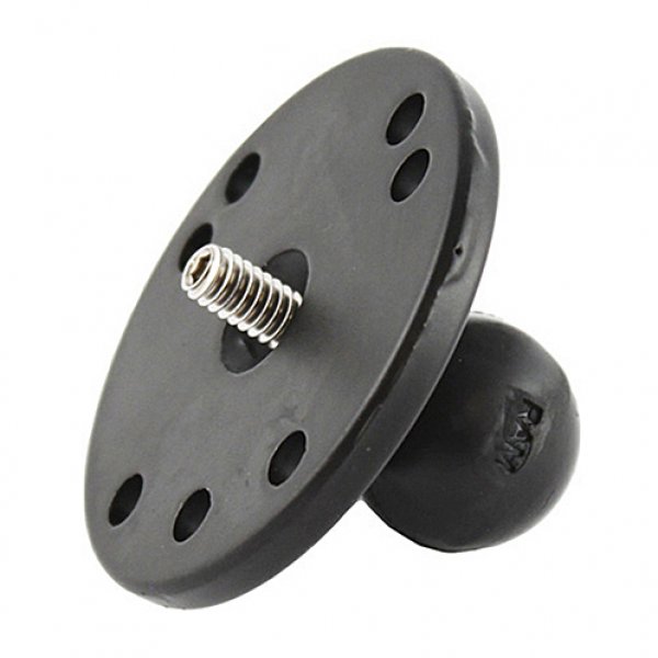 Daisy on the Ohoopee