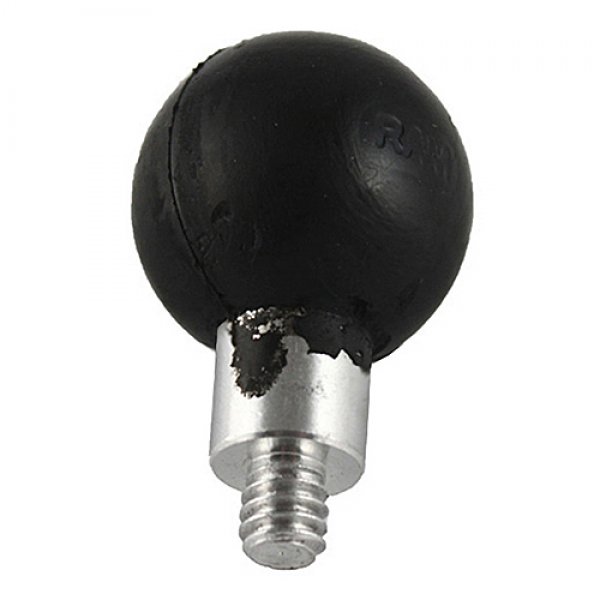 Daisy on the Ohoopee