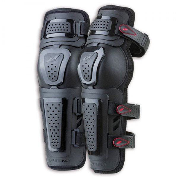 Daisy on the Ohoopee