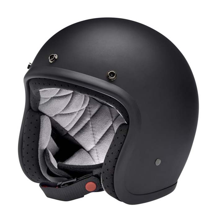 Daisy on the Ohoopee