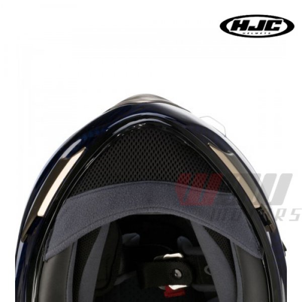 Daisy on the Ohoopee