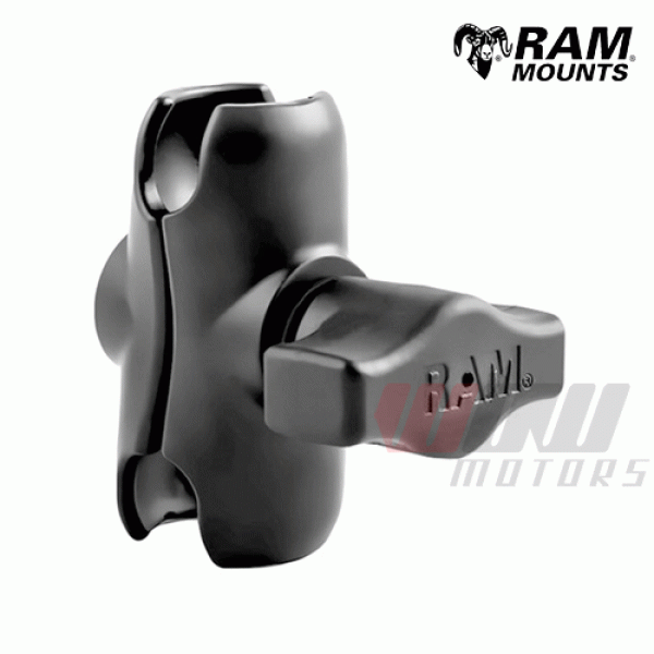 Daisy on the Ohoopee