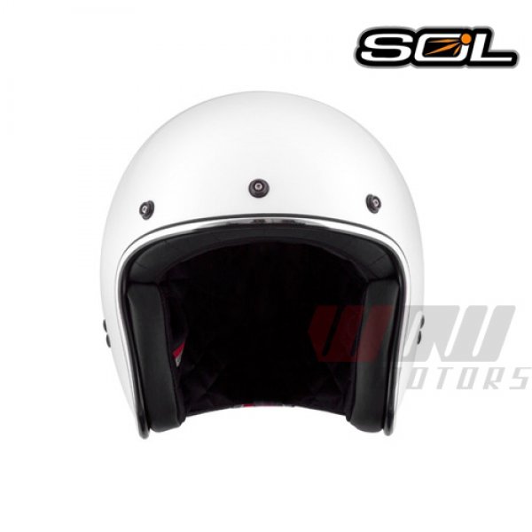 Daisy on the Ohoopee