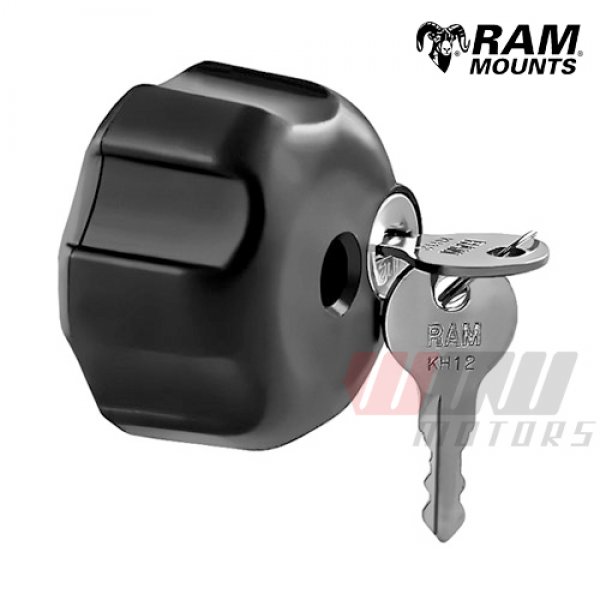 Daisy on the Ohoopee