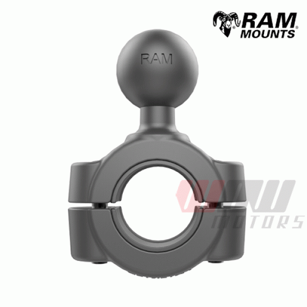 Daisy on the Ohoopee