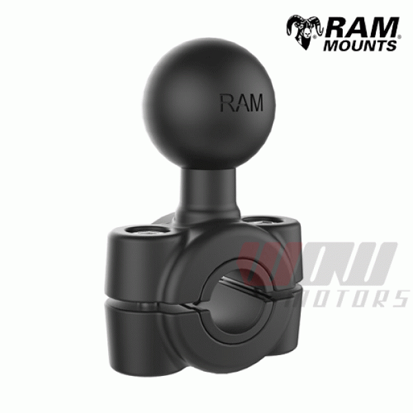 Daisy on the Ohoopee