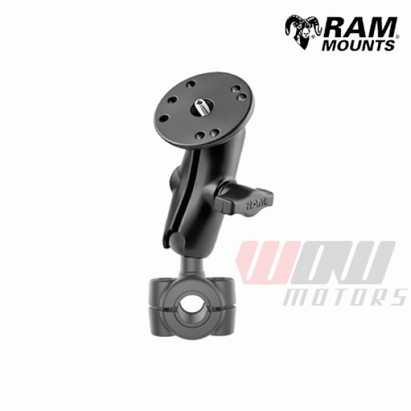 Daisy on the Ohoopee