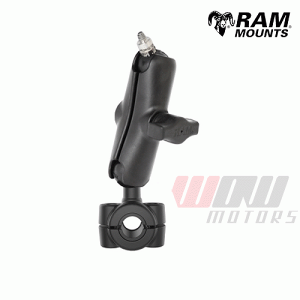 Daisy on the Ohoopee