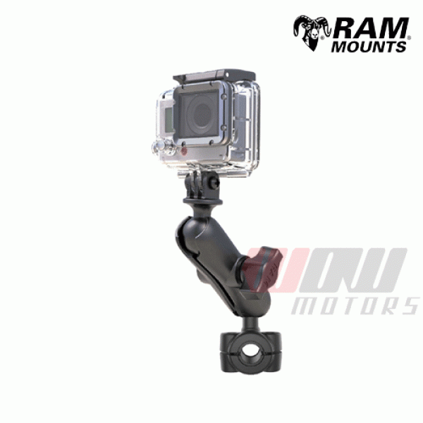 Daisy on the Ohoopee