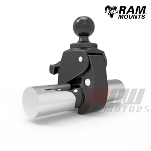 Daisy on the Ohoopee