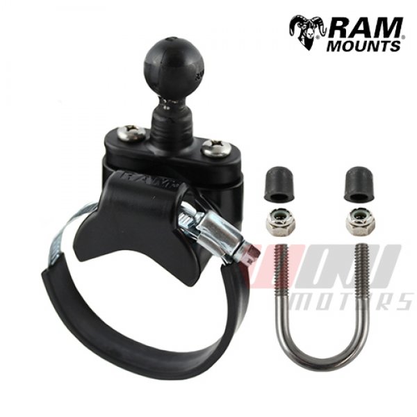 Daisy on the Ohoopee