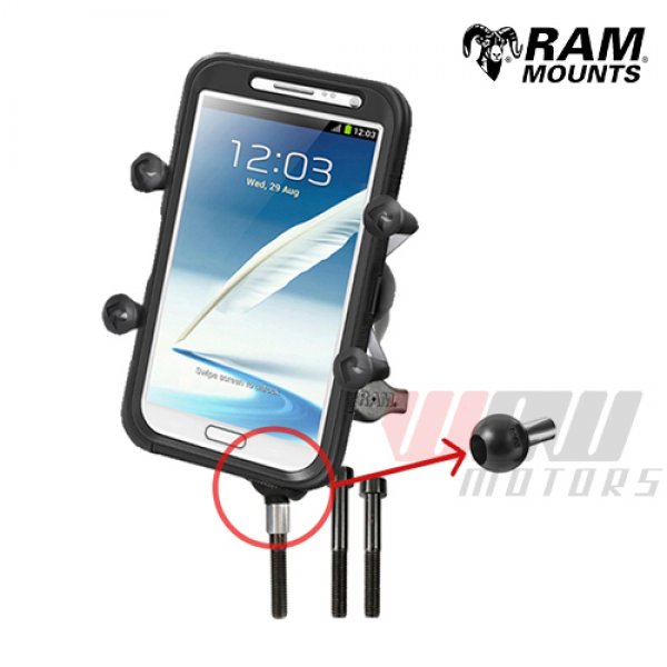 Daisy on the Ohoopee