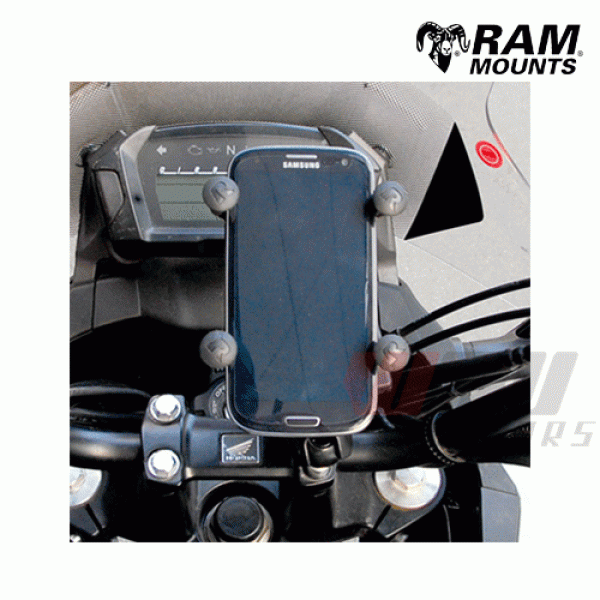 Daisy on the Ohoopee