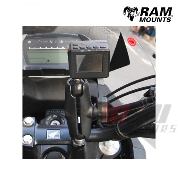 Daisy on the Ohoopee