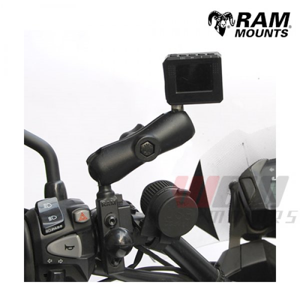 Daisy on the Ohoopee