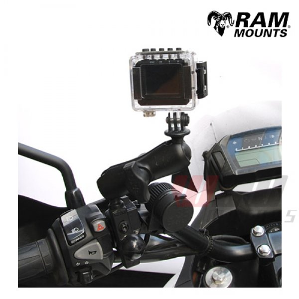 Daisy on the Ohoopee