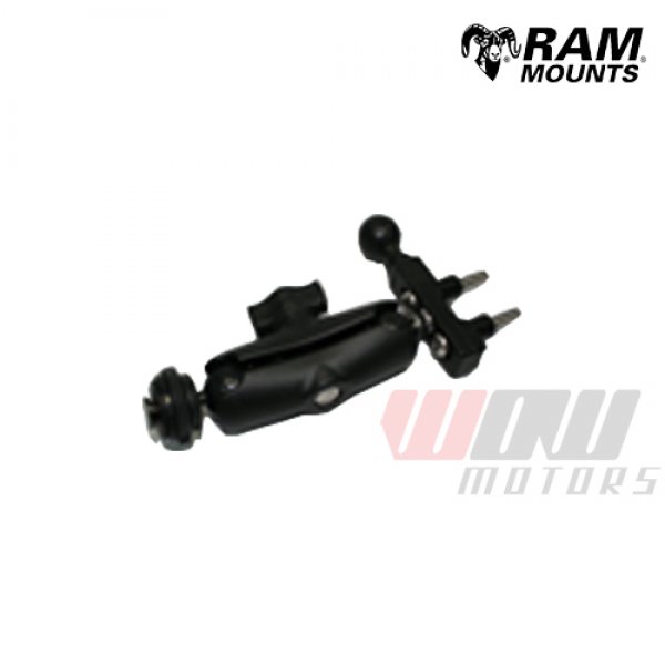 Daisy on the Ohoopee