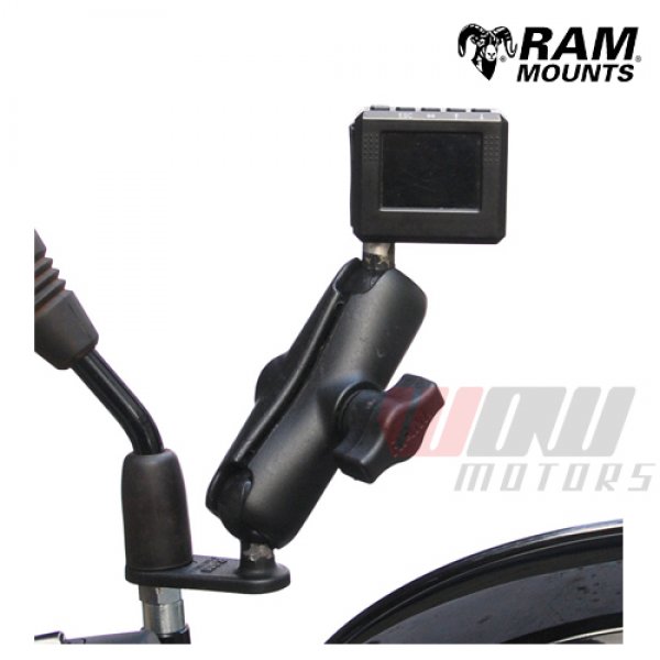 Daisy on the Ohoopee