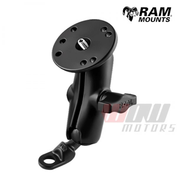 Daisy on the Ohoopee