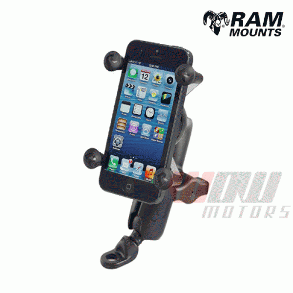 Daisy on the Ohoopee