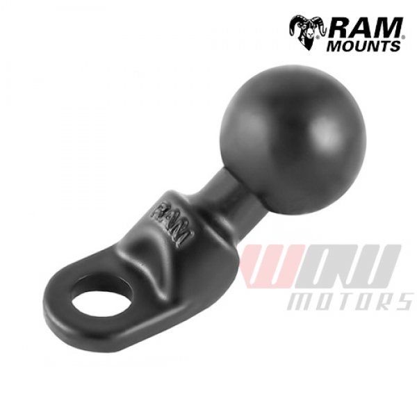 Daisy on the Ohoopee