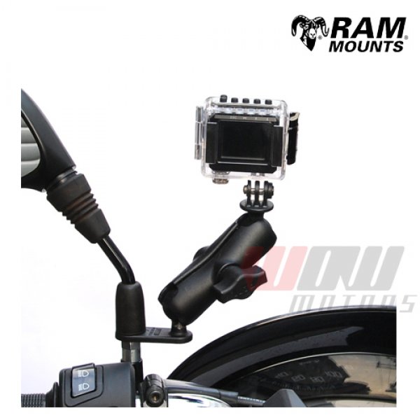 Daisy on the Ohoopee