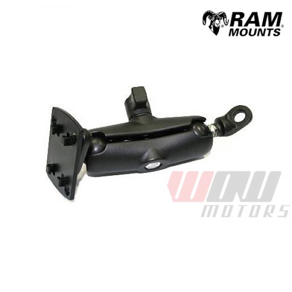 Daisy on the Ohoopee