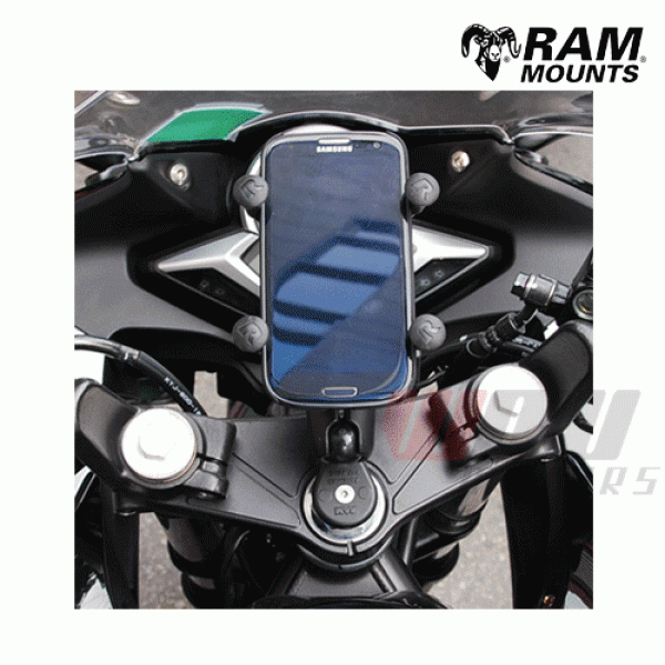 Daisy on the Ohoopee