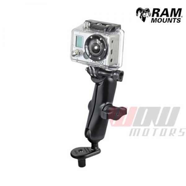 Daisy on the Ohoopee