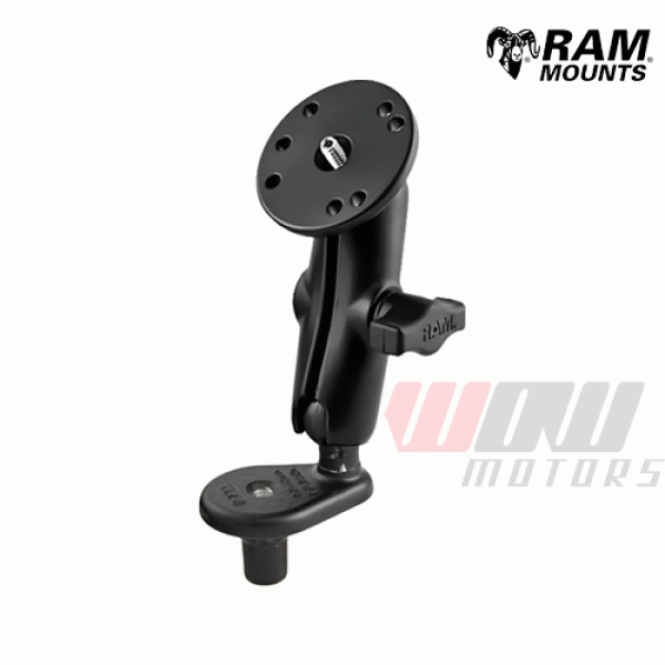 Daisy on the Ohoopee