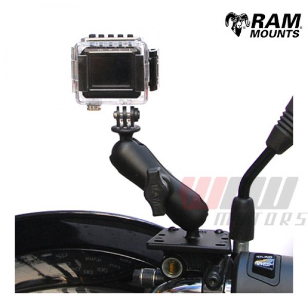 Daisy on the Ohoopee