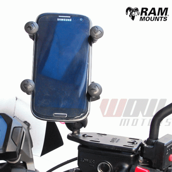 Daisy on the Ohoopee