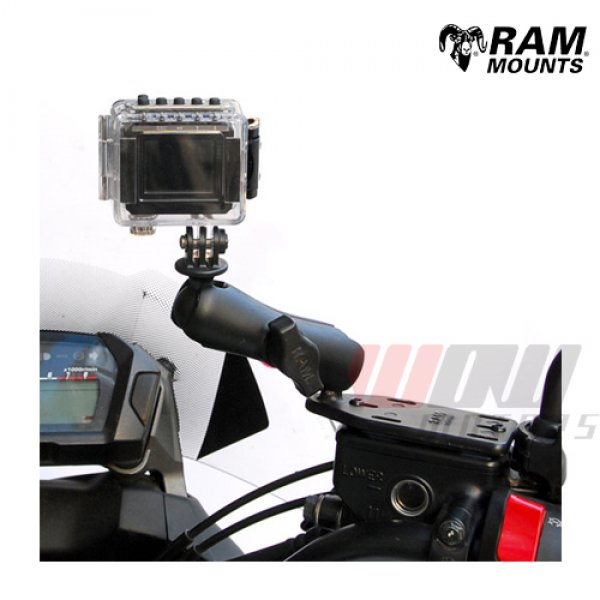 Daisy on the Ohoopee